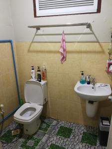 坤敬D-Toys Homestay的一间带卫生间和水槽的浴室