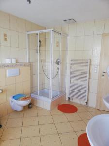 于伯林根Ferienwohnung am Bodensee mit 3 Schlafzimmer über 2 Etage mit kleine Balkon bis 7 Personen的带淋浴和卫生间的浴室
