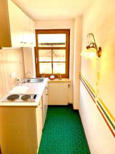 平斯旺祖姆斯彻鲁恩酒店的一间厨房,位于一个房间里,铺有绿色的地板