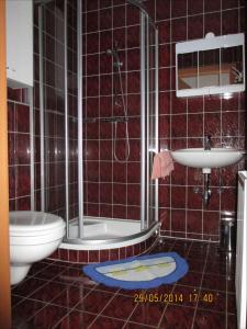 拉赫塔尔Ferienwohnung A 55 m2的带淋浴、卫生间和盥洗盆的浴室