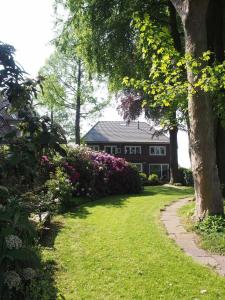 拉奥德芬Ferienwohnung Alte Fehnapotheke, 95144的一座有树和草地的房屋