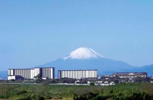 山景或在日式旅馆看到的山景