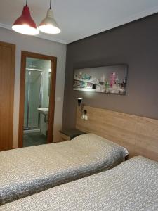 布尔戈斯圣地亚哥旅馆的一间卧室设有两张单人床和一面镜子
