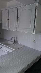 莱齐尼昂科尔比埃maison avec piscine的厨房配有白色橱柜和水槽