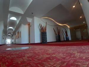 墨西哥城AUTO HOTEL LEGARIA的大房间,铺有红地毯,墙壁上挂有木棍