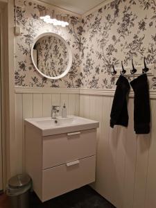 基律纳北极美食山林小屋的一间带水槽和镜子的浴室