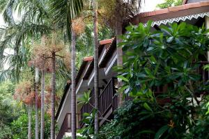 象岛张克里夫度假酒店的一座棕榈树建筑