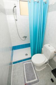 雅典塞西尔酒店的浴室设有卫生间和蓝色的浴帘。