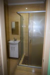 切尔诺夫策Apartments Provence的带淋浴和盥洗盆的浴室
