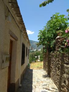 布维翁Una joya en la Alpujarra的老石头建筑中一条有树的小巷