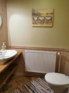 维尔扬迪卡拉酒店的一间带卫生间和水槽的浴室