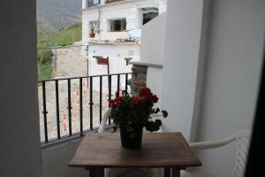 卡皮雷拉Apartamento Rurales Rosendo: La Zajareña的阳台上的花瓶桌子