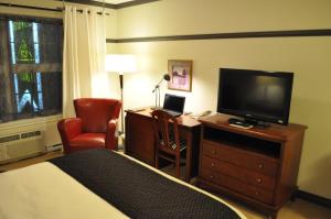 新里士满弗朗西斯酒店的酒店客房配有一张床和一张书桌及一台电视