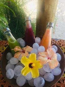 普拉亚德莫伊塔斯Casa das Rendas的三瓶酒和一碗鲜花