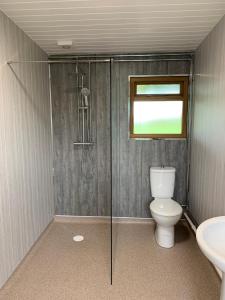 特伦特河畔斯托克Glamping at Holly Grove Farm的带淋浴、卫生间和盥洗盆的浴室