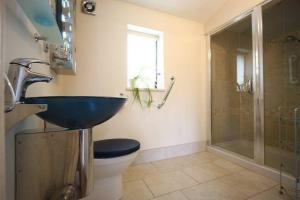 塔维斯托克Wilson Cottage Dartmoor的一间带水槽、卫生间和淋浴的浴室