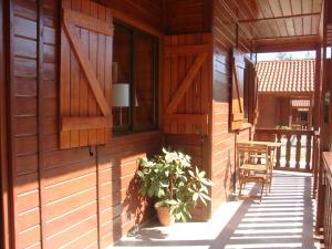 维尼艾什维尼艾什生态公园露营地的木房子的门廊,里面装有植物和椅子