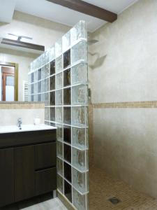 卡索拉casa CAZORLA C DEL VALLE的浴室配有水槽和带玻璃架的淋浴