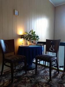 塔林Hostel31的一间房间,配有两把椅子和一张桌子,种植了植物