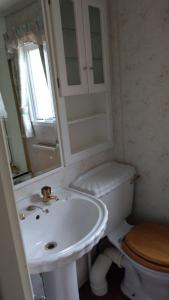 博特夫加滕The Boat House Guesthouse的白色的浴室设有水槽和卫生间。