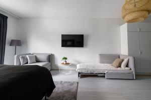 奥卢ULEABO New 37m2 Studio的一间带沙发的卧室和墙上的电视