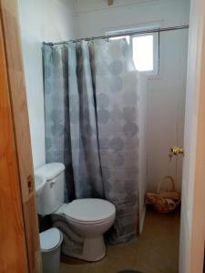 蒙特港CABAÑAS TRAPEN的一间带卫生间和淋浴帘的浴室
