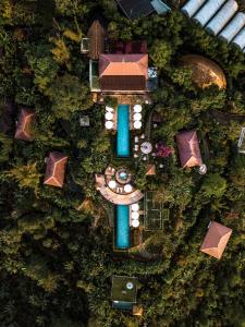 姆杜克Munduk Moding Plantation Nature Resort的森林中房屋的顶部景观