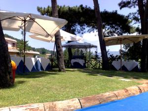 菲拉德尔菲亚卡斯特尔莫纳多酒店的一组遮阳伞和一个院子内的游泳池