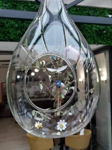 科马尔诺立托维尔酒店的玻璃瓶,里面装有植物