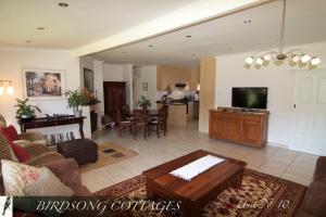 香槟谷Birdsong Cottages - 10 Poplar Drive - Bergview Estate的带沙发和电视的客厅