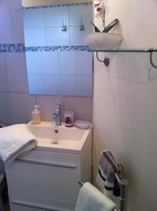 Hellemmes-Lille亚当酒店的一间带水槽和镜子的小浴室