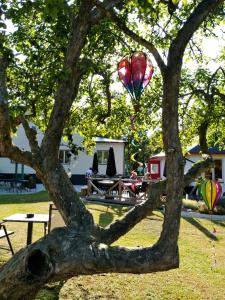 TingstädeGotland of Sweden - bed & breakfast的一棵树,放着一群风筝飞在天空中