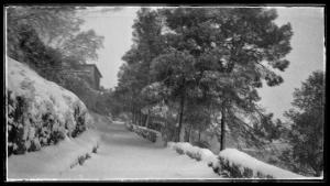 波凯兰特Casa Rural Casa Gimeno的一条布满树木的雪覆盖街道和房子