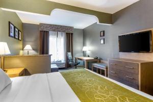 索斯盖特Comfort Suites Southgate-Detroit的配有一张床和一台平面电视的酒店客房