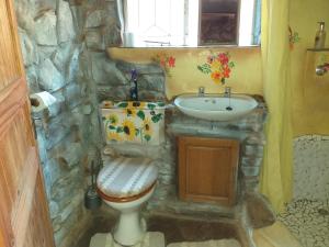 Draasloot鞋子山林小屋的石质浴室设有水槽和卫生间