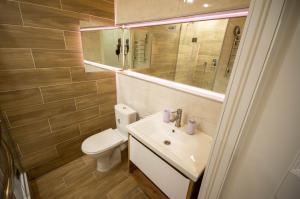 基辅Smart Apartments in Kyiv Center的一间带卫生间、水槽和镜子的浴室