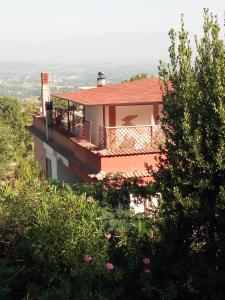 FalvaterraB&b Fabra Casa Mia e non solo的树上山顶的房子