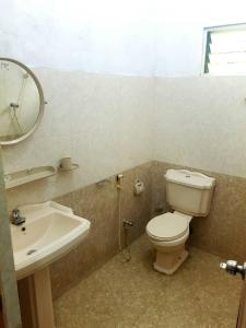 高尔Sanithu Homestay Galle的一间带卫生间、水槽和镜子的浴室