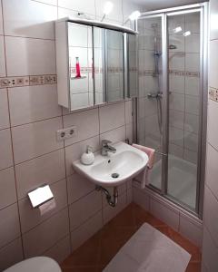法伊施特瑙Appartements Ferienwohnungen Alpenblick的一间带水槽和淋浴的浴室