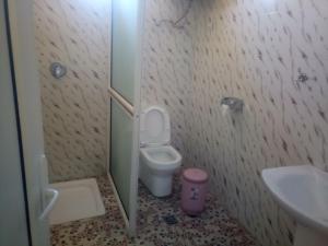 拉利贝拉Honey Land Hotel Lalibela的一间带卫生间和水槽的浴室