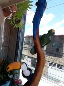 卡马拉吉贝Florcamará POUSADA的树上鹦鹉的木雕
