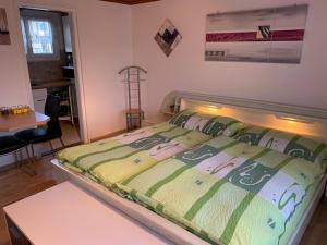 Bannwil埃尔公寓的一间卧室配有一张带绿色棉被的床