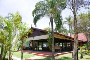 皮拉西卡巴Casa de Campo Magnifica的前面有棕榈树的房子