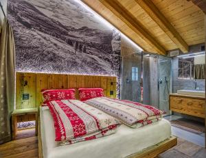 利维尼奥Le Chalet Luxury Apartment的一间卧室配有一张床、淋浴和盥洗盆