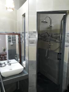 卡特勒博尔纳Hello Guest House的一间带水槽和淋浴的浴室