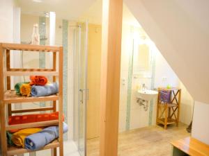苏尔Apartment Schneestern的带淋浴、盥洗盆和淋浴的浴室
