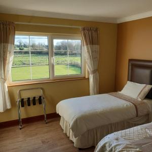卡斯莱兰Cloghan Lodge的一间卧室设有两张床和窗户。