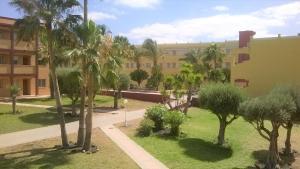 Parque HolandesCasa Mar y Dunas的棕榈树庭院和建筑