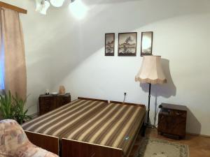 KisbodakElvira Vendégház的一间卧室配有一张床和一盏灯