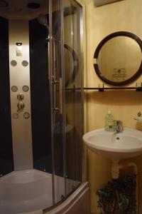 斯米尔泰内Kalna Ligzda的带淋浴和盥洗盆的浴室